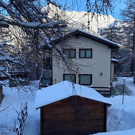 Green Mountain Lodge Oulx Kültér fotó