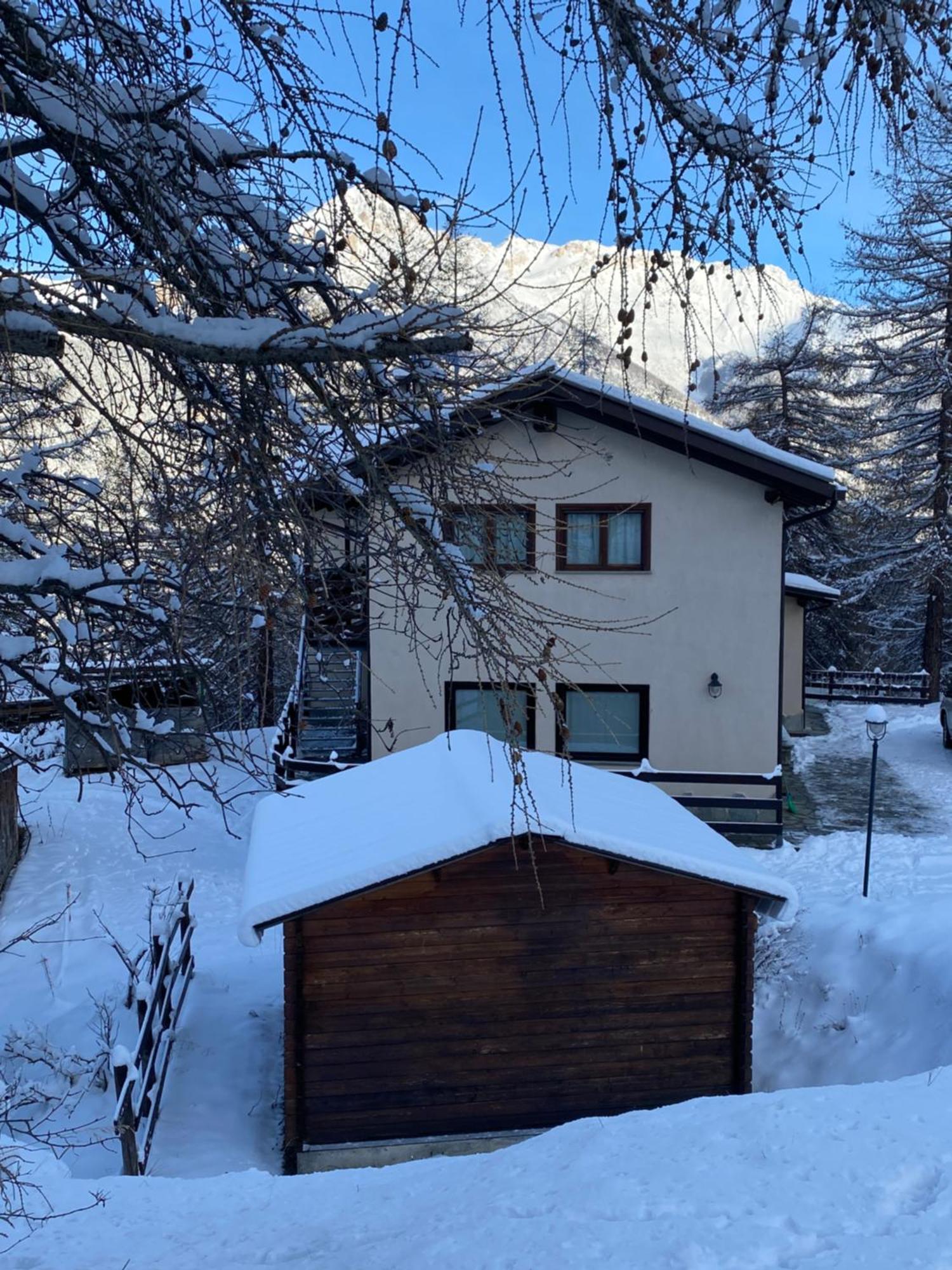 Green Mountain Lodge Oulx Kültér fotó